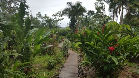 Caribbean style home with extra casita Bocas del Toro Panama - image 30