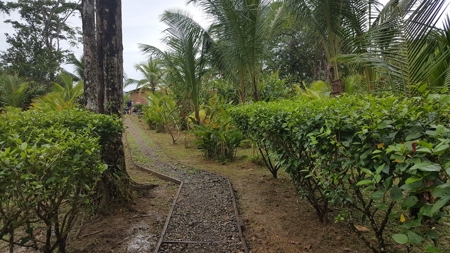 Caribbean style home with extra casita Bocas del Toro Panama - image 29