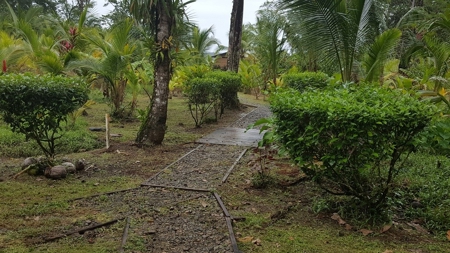 Caribbean style home with extra casita Bocas del Toro Panama - image 20