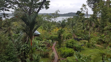 Caribbean style home with extra casita Bocas del Toro Panama - image 25