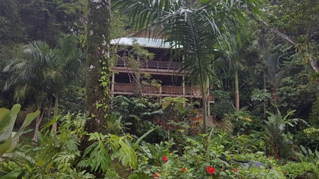 Caribbean style home with extra casita Bocas del Toro Panama - image 10