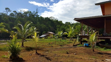 4 Bedroom Coastal Oceanfront Home Bocas del Toro Panama - image 30