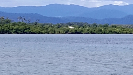 4 Bedroom Coastal Oceanfront Home Bocas del Toro Panama - image 36