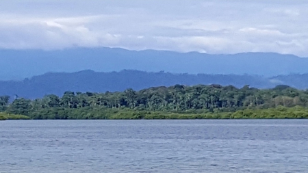 4 Bedroom Coastal Oceanfront Home Bocas del Toro Panama - image 37