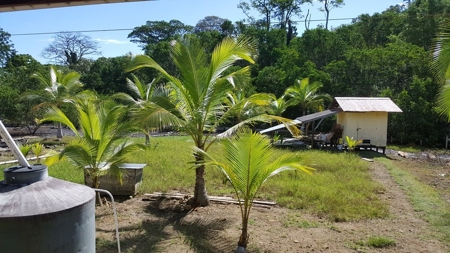4 Bedroom Coastal Oceanfront Home Bocas del Toro Panama - image 31