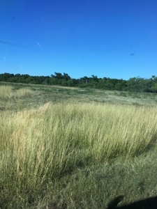 Riverfront Ranch For Sale - image 11