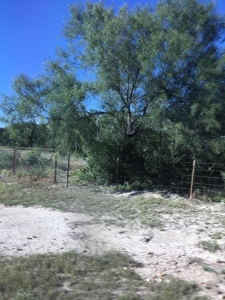 Riverfront Ranch For Sale - image 6