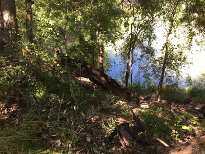 Riverfront Ranch For Sale - image 2