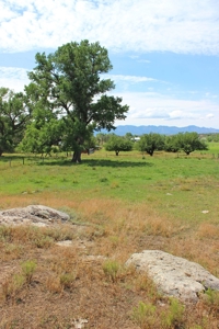 Orchard Land For Sale Southwest CO Water Rights, Dolores CO - image 2
