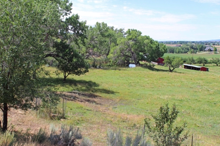 Orchard Land For Sale Southwest CO Water Rights, Dolores CO - image 12