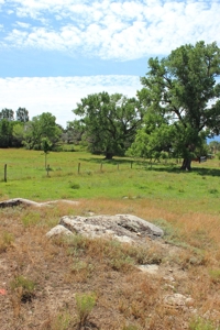 Orchard Land For Sale Southwest CO Water Rights, Dolores CO - image 3