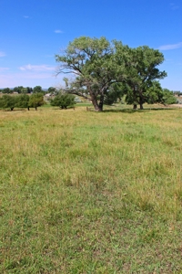 Orchard Land For Sale Southwest CO Water Rights, Dolores CO - image 8