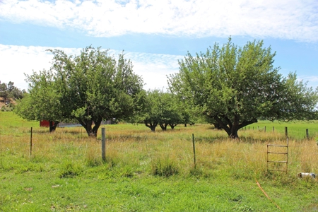 Orchard Land For Sale Southwest CO Water Rights, Dolores CO - image 5