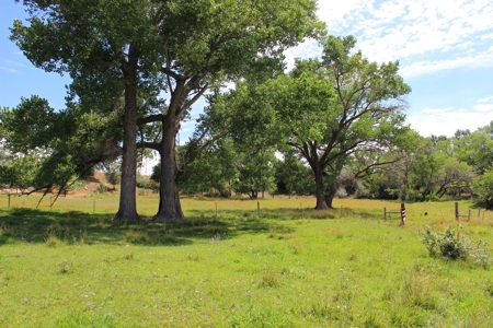 Orchard Land For Sale Southwest CO Water Rights, Dolores CO - image 6