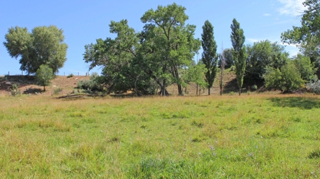Orchard Land For Sale Southwest CO Water Rights, Dolores CO - image 14