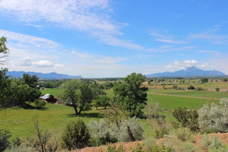 Orchard Land For Sale Southwest CO Water Rights, Dolores CO - image 10