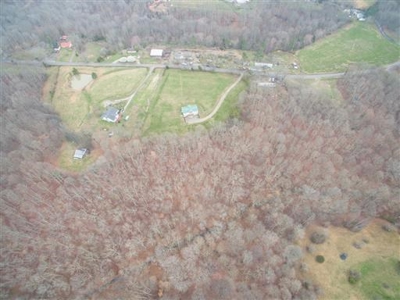 Perfect Mini Farm For Sale in Middle Tennessee - image 16