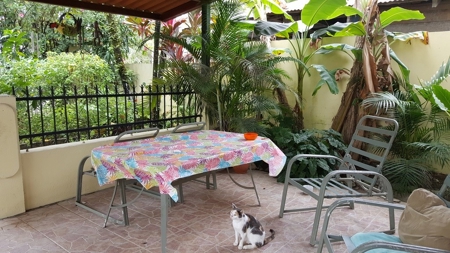 Home in Bocas Town with pool, Bocas del Toro, Panama - image 5