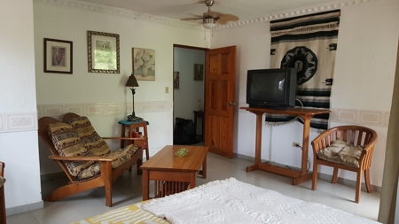 Home in Bocas Town with pool, Bocas del Toro, Panama - image 11