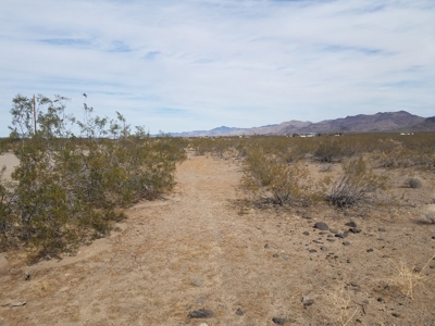 20.31 acre land with power for sale, Golden Valley AZ - image 6