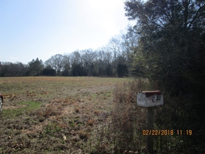 Rural land in Graceville FL with possible owner financing. - image 17