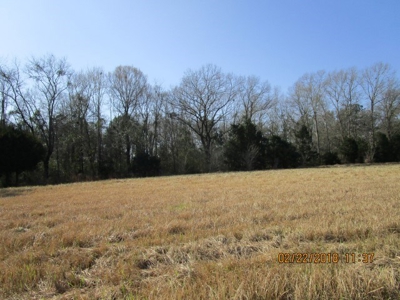 Rural land in Graceville FL with possible owner financing. - image 22