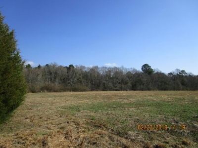 Rural land in Graceville FL with possible owner financing. - image 21