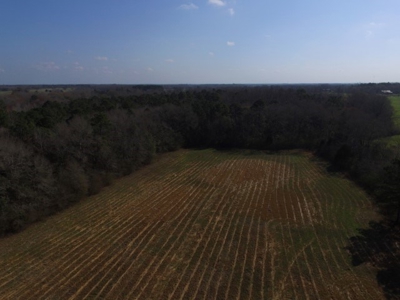 Rural land in Graceville FL with possible owner financing. - image 7