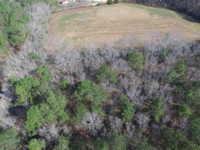 Rural land in Graceville FL with possible owner financing. - image 15