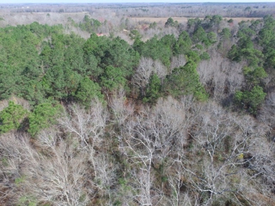 Rural land in Graceville FL with possible owner financing. - image 10