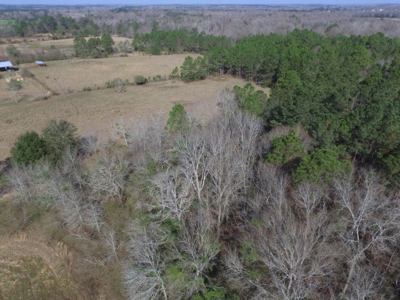 Rural land in Graceville FL with possible owner financing. - image 11