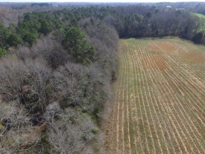 Rural land in Graceville FL with possible owner financing. - image 12