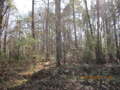 Rural land in Graceville FL with possible owner financing. - image 32