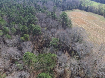 Rural land in Graceville FL with possible owner financing. - image 14