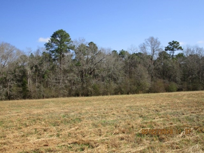 Rural land in Graceville FL with possible owner financing. - image 25
