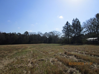 Rural land in Graceville FL with possible owner financing. - image 23