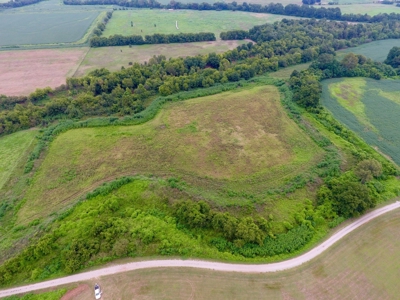 Tillable Farm and Hunting Tract - Bossier Parish LA - image 10