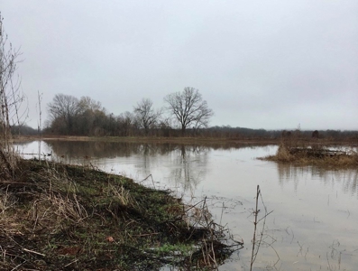 Tillable Farm and Hunting Tract - Bossier Parish LA - image 26