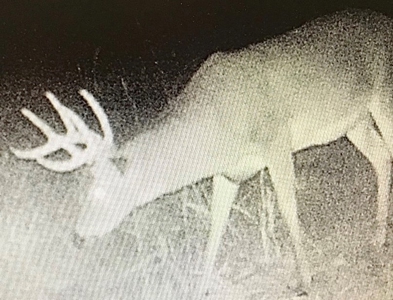 Tillable Farm and Hunting Tract - Bossier Parish LA - image 36