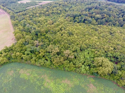 Tillable Farm and Hunting Tract - Bossier Parish LA - image 7