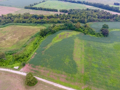 Tillable Farm and Hunting Tract - Bossier Parish LA - image 11