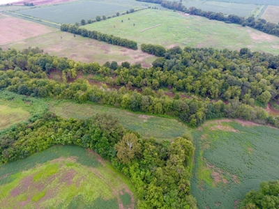 Tillable Farm and Hunting Tract - Bossier Parish LA - image 13