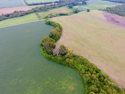 Tillable Farm and Hunting Tract - Bossier Parish LA - image 9
