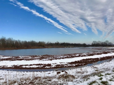 Tillable Farm and Hunting Tract - Bossier Parish LA - image 31