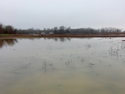 Tillable Farm and Hunting Tract - Bossier Parish LA - image 28