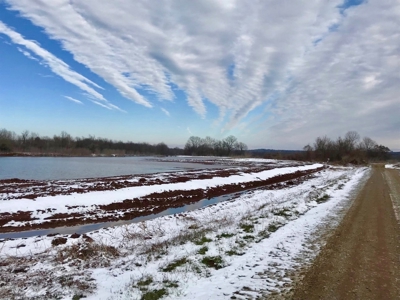 Tillable Farm and Hunting Tract - Bossier Parish LA - image 30