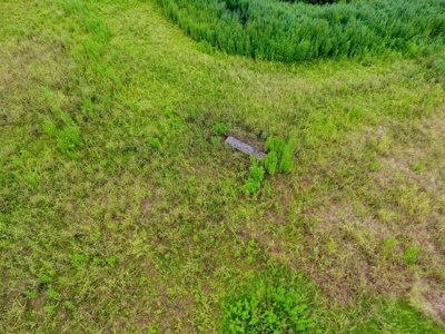 Tillable Farm and Hunting Tract - Bossier Parish LA - image 17