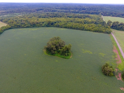 Tillable Farm and Hunting Tract - Bossier Parish LA - image 5