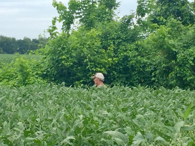 Tillable Farm and Hunting Tract - Bossier Parish LA - image 18