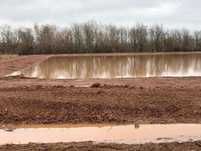 Tillable Farm and Hunting Tract - Bossier Parish LA - image 29